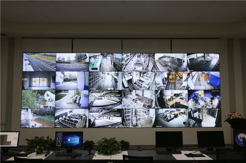 冰輪智能 從 生產(chǎn)制造型 向 服務制造型 企業(yè)轉(zhuǎn)變 打造智能制造創(chuàng)新發(fā)展高地